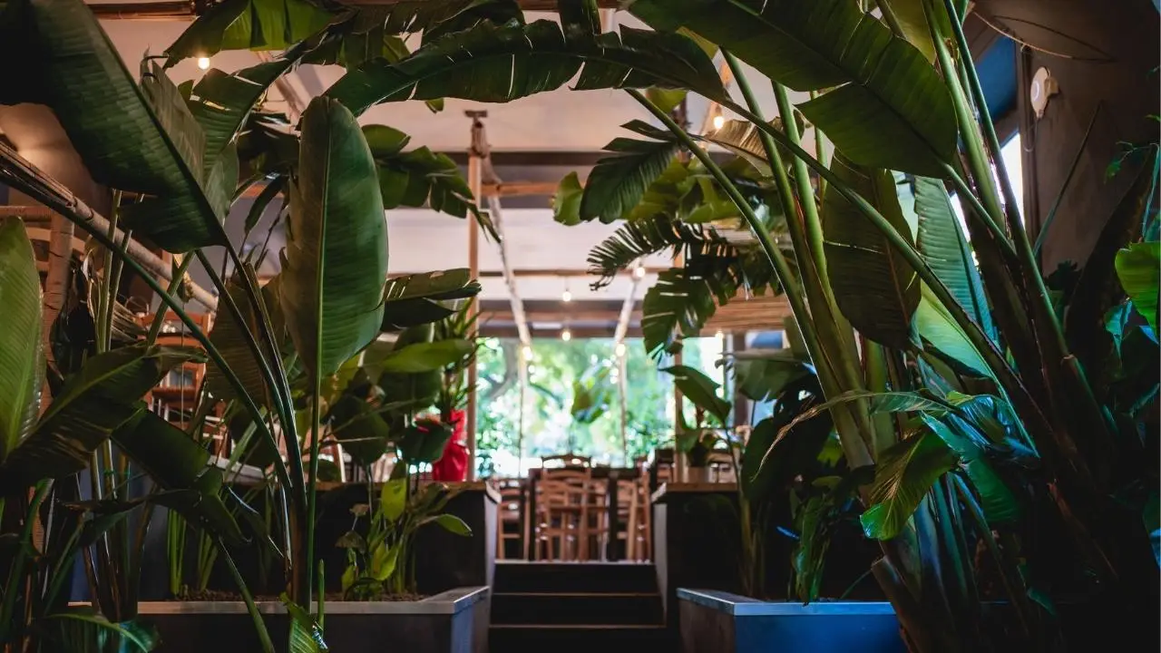 Docks & Co. Roma Restaurant - Roma, Citta Metropolitana di Roma | OpenTable