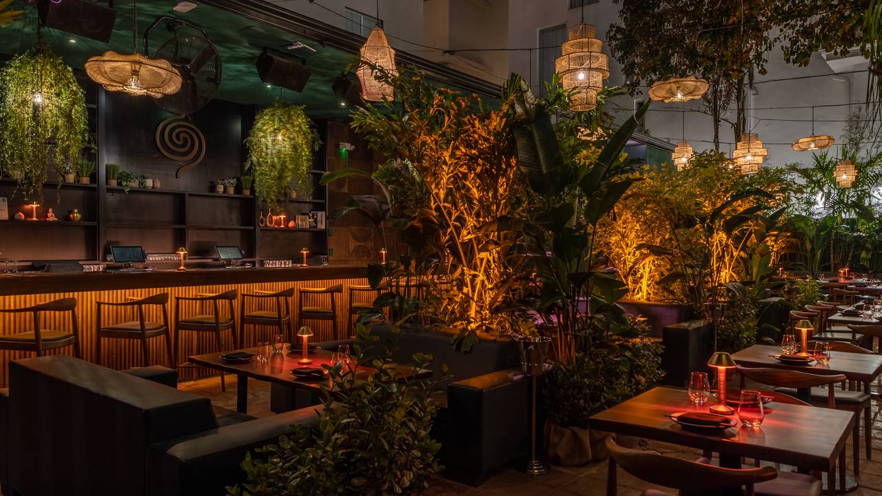 BAOLI Miami Restaurant - Miami Beach, FL | OpenTable