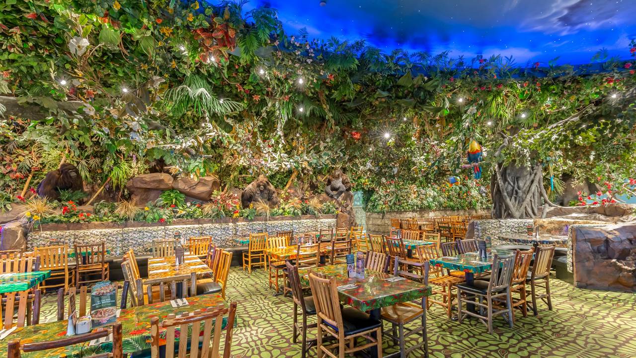 dining area - Picture of Rainforest Cafe, Schaumburg - Tripadvisor