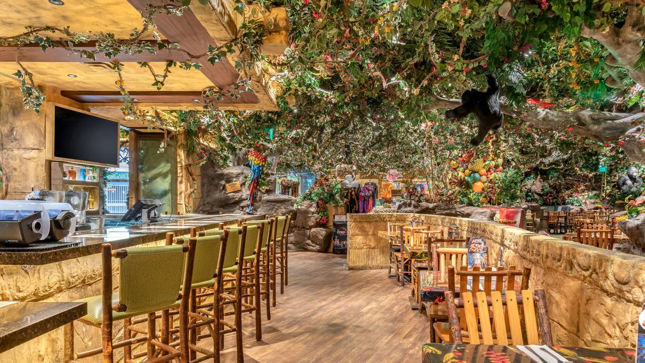 Rainforest Cafe - East Bloomington - 7 tips from 897 visitors