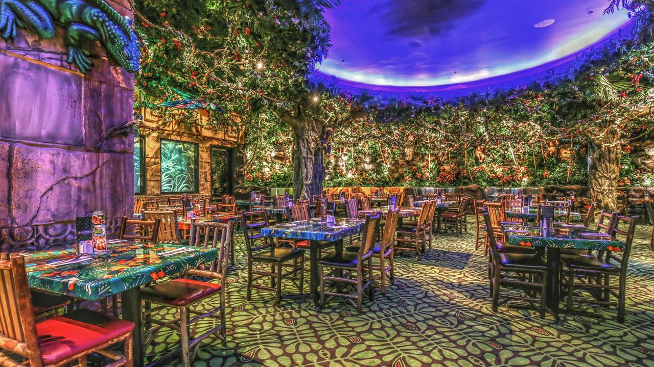 During the thunderstorm - Picture of Rainforest Cafe, Schaumburg -  Tripadvisor