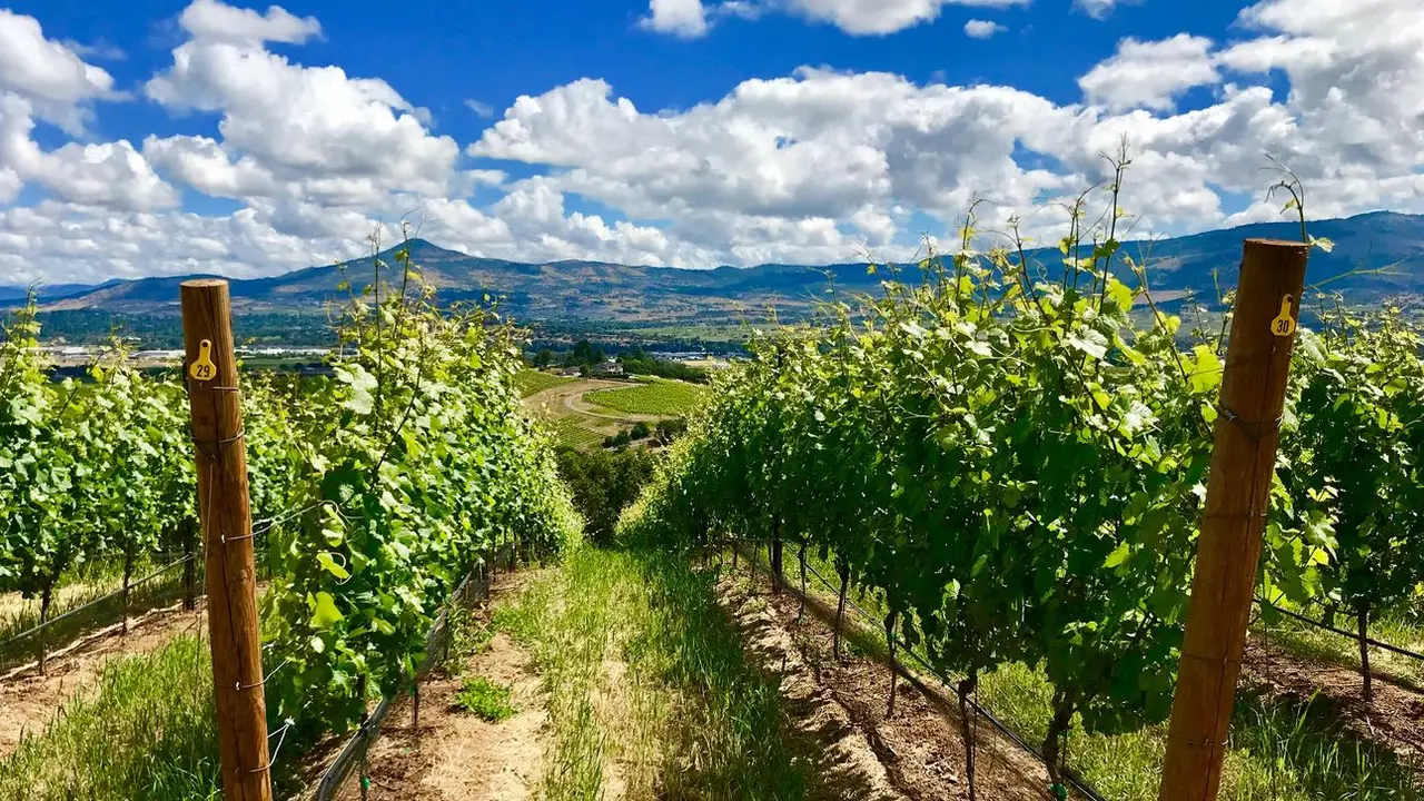 Parkhurst Wine Cellars Restaurant Jacksonville, OR OpenTable