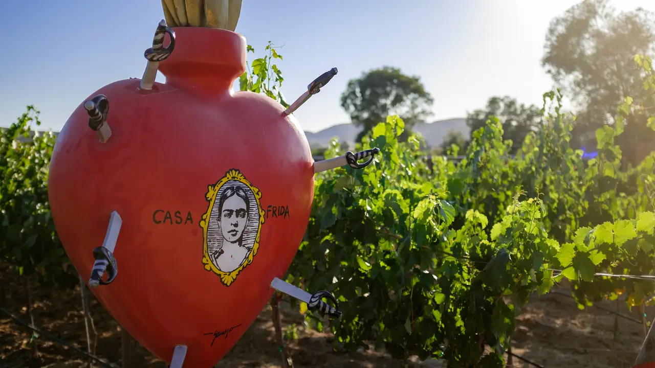 Casa Frida Valle De Guadalupe Restaurant Ejido El Porvenir 