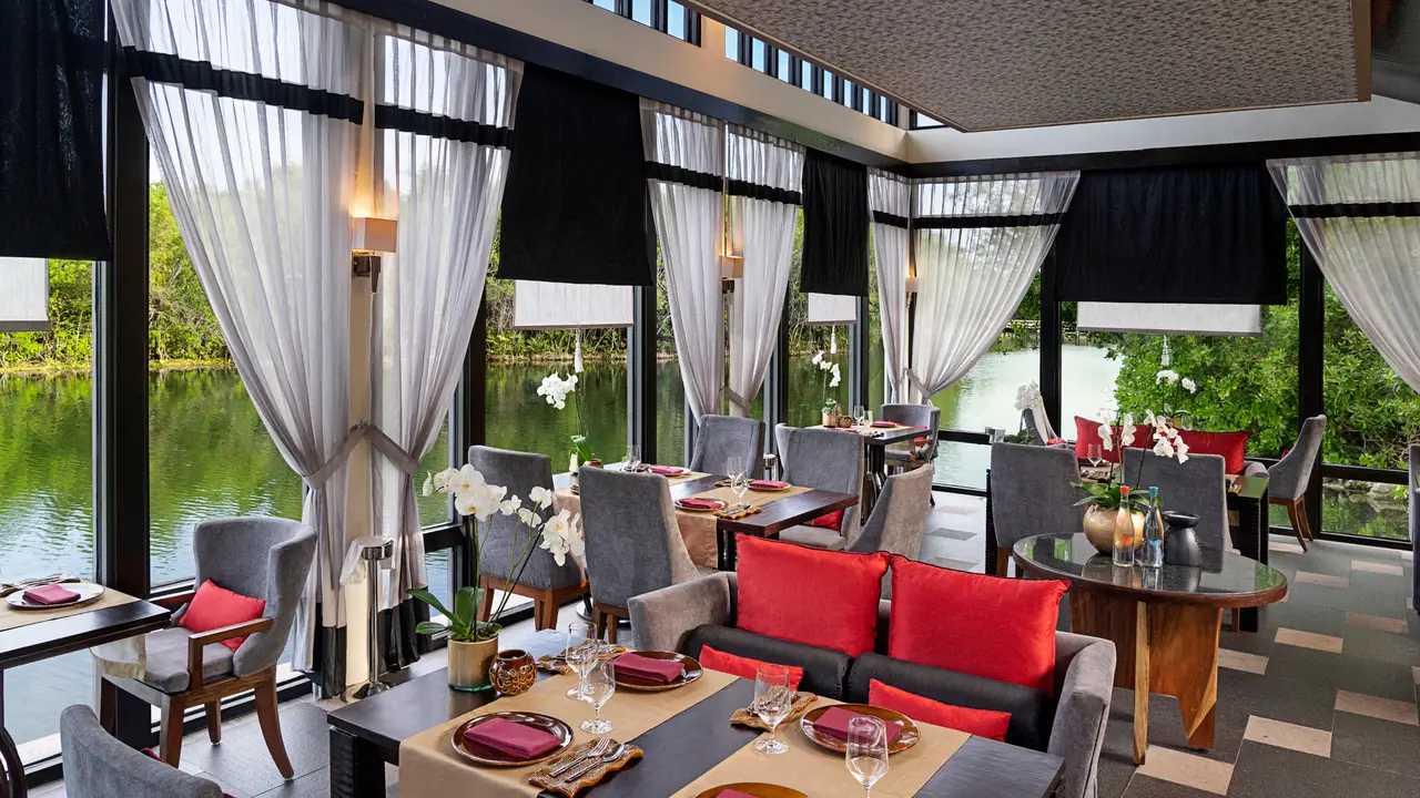 Restaurant Saffron Mayakoba Playa del Carmen, ROO OpenTable