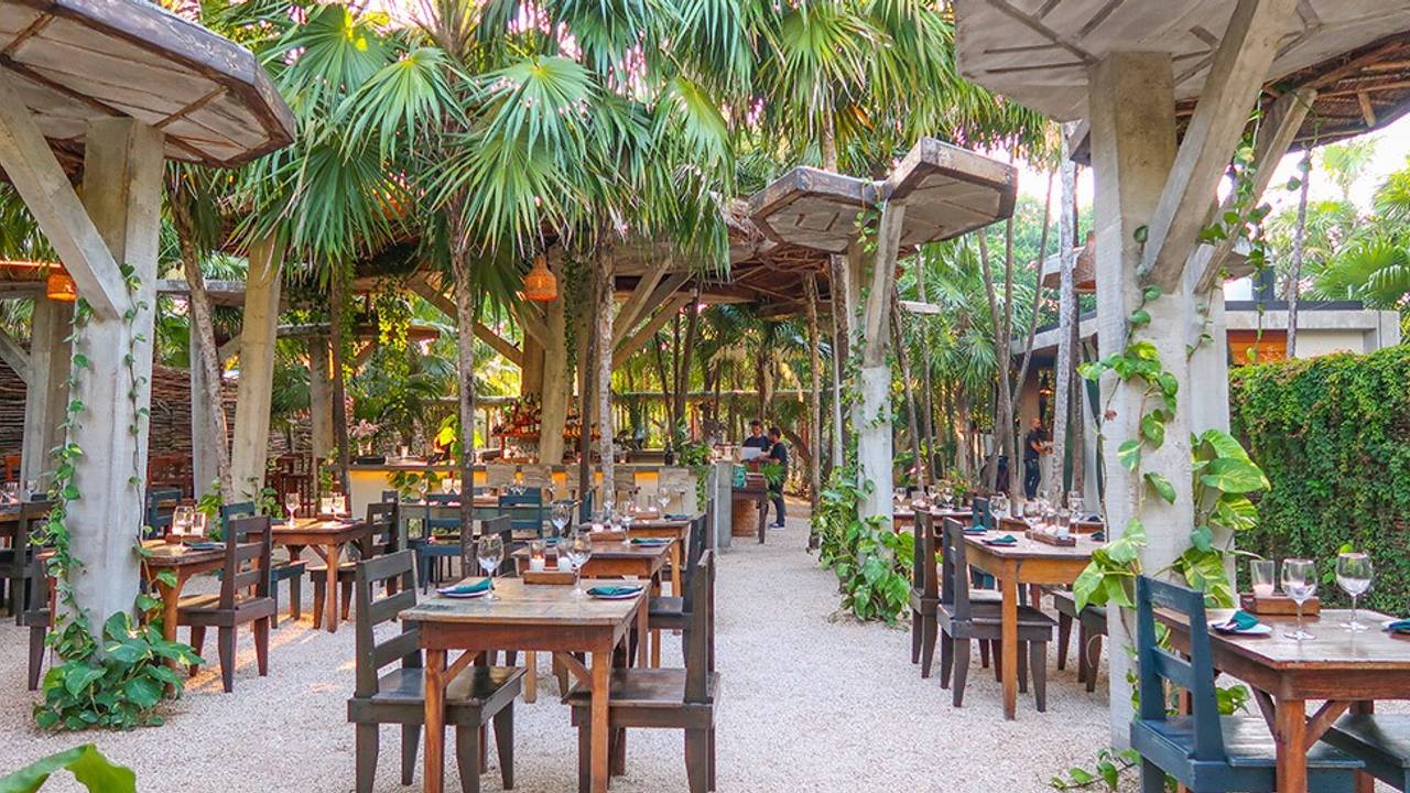 Wild Tulum