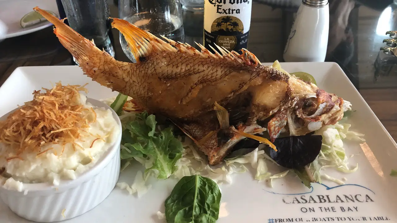 Casablanca On The Bay Restaurant Miami, FL OpenTable