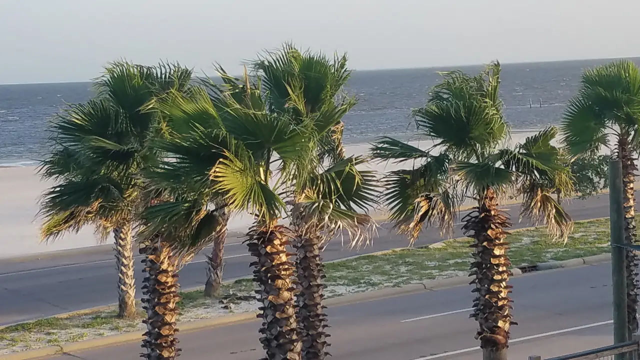 Restaurante Felix Oyster Bar Gulfport Gulfport, , MS OpenTable