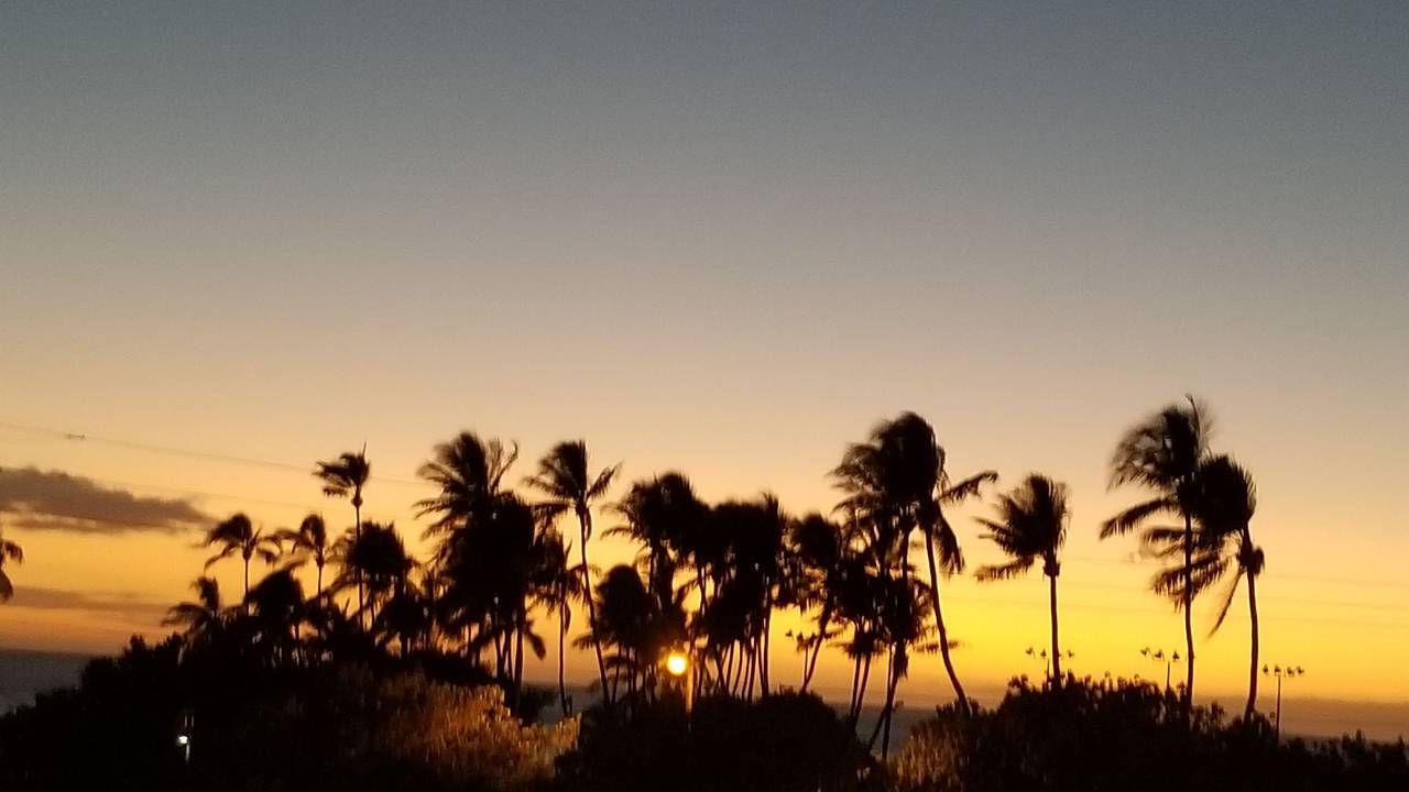 Lava Rock Bar Grill Restaurant Kihei Hi Opentable