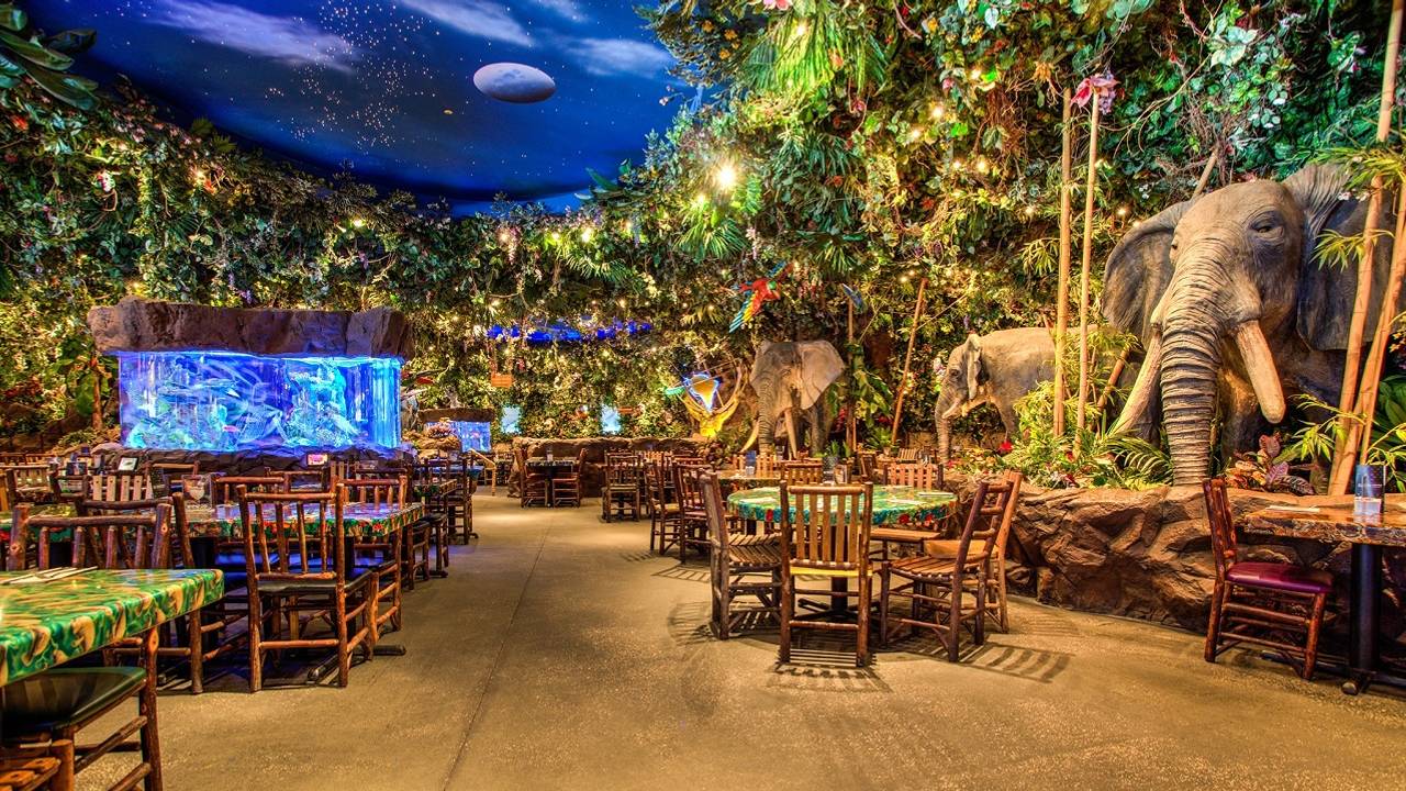 Rainforest Cafe Galveston Restaurant Galveston Tx Opentable