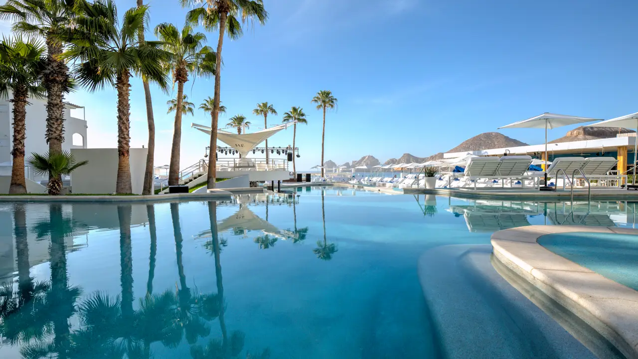 Blue Marlin Ibiza Los Cabos - Top Rated Restaurant in Cabo San Lucas