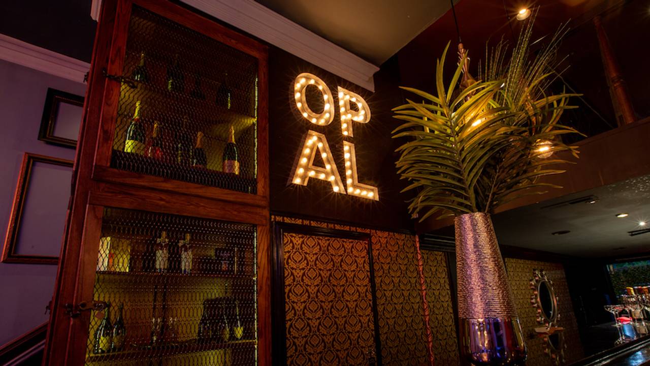 Opal Social Club Restaurant - Mountain View, CA | OpenTable