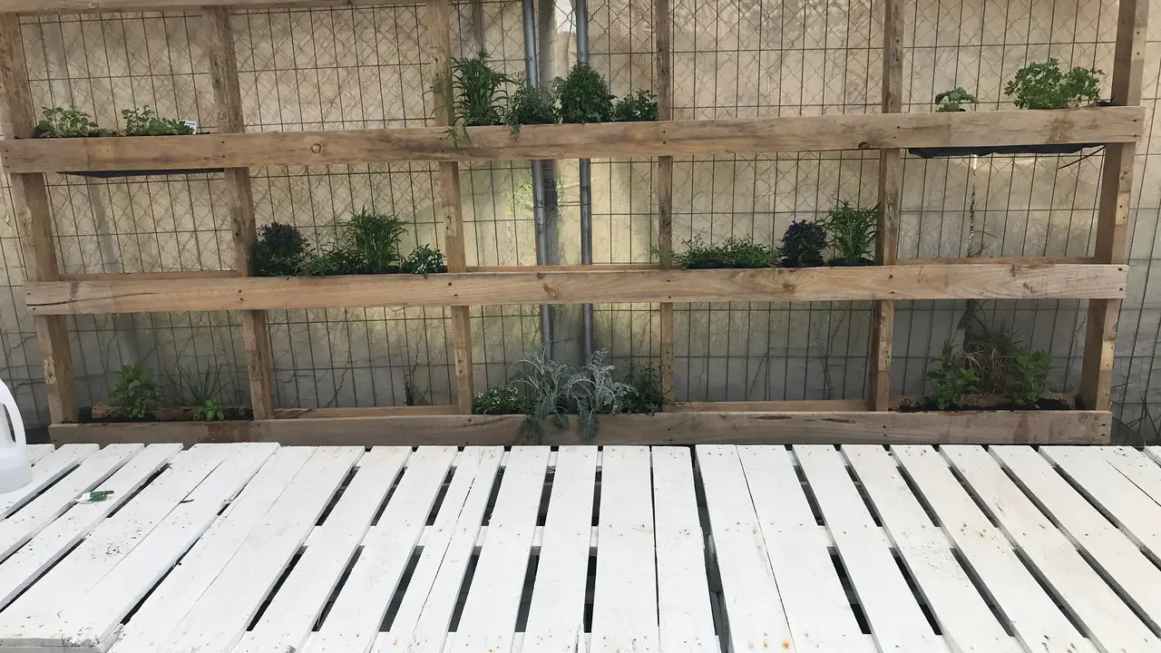 Little Ginger Restaurant Williamstown North, AUVIC OpenTable