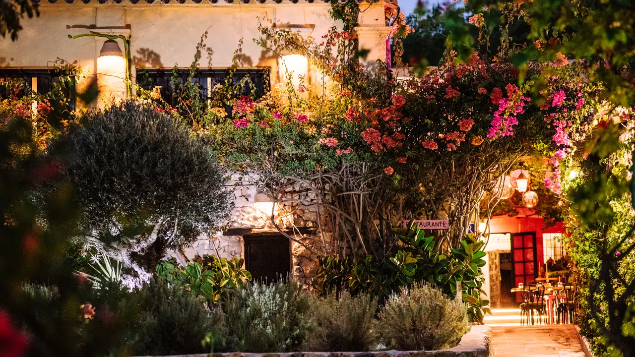 Pamelas at Pikes Ibiza, Sant Antonide de Portmany, Balears Pamelas at Pikes Ibiza, Sant Antonide de Portmany, Balears