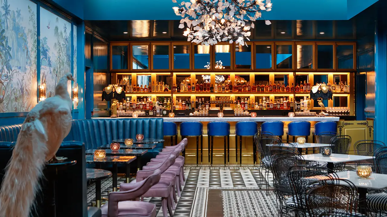 Peacock Room at The Hotel Fontenot Restaurant - New Orleans, LA | OpenTable