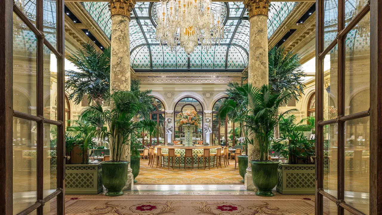 Ambiance  - The Palm Court at The Plaza Hotel, New York, NY