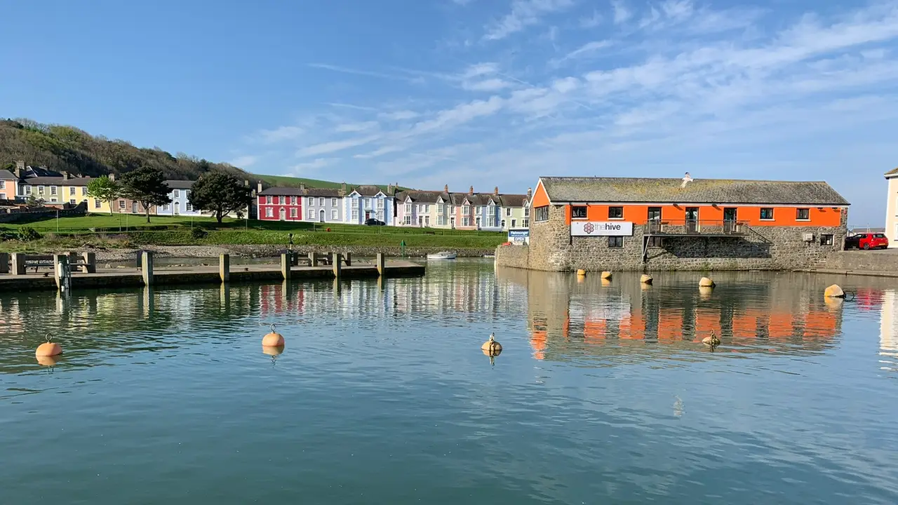 The Hive Aberaeron, Aberaeron, Ceredigion The Hive Aberaeron, Aberaeron, Ceredigion