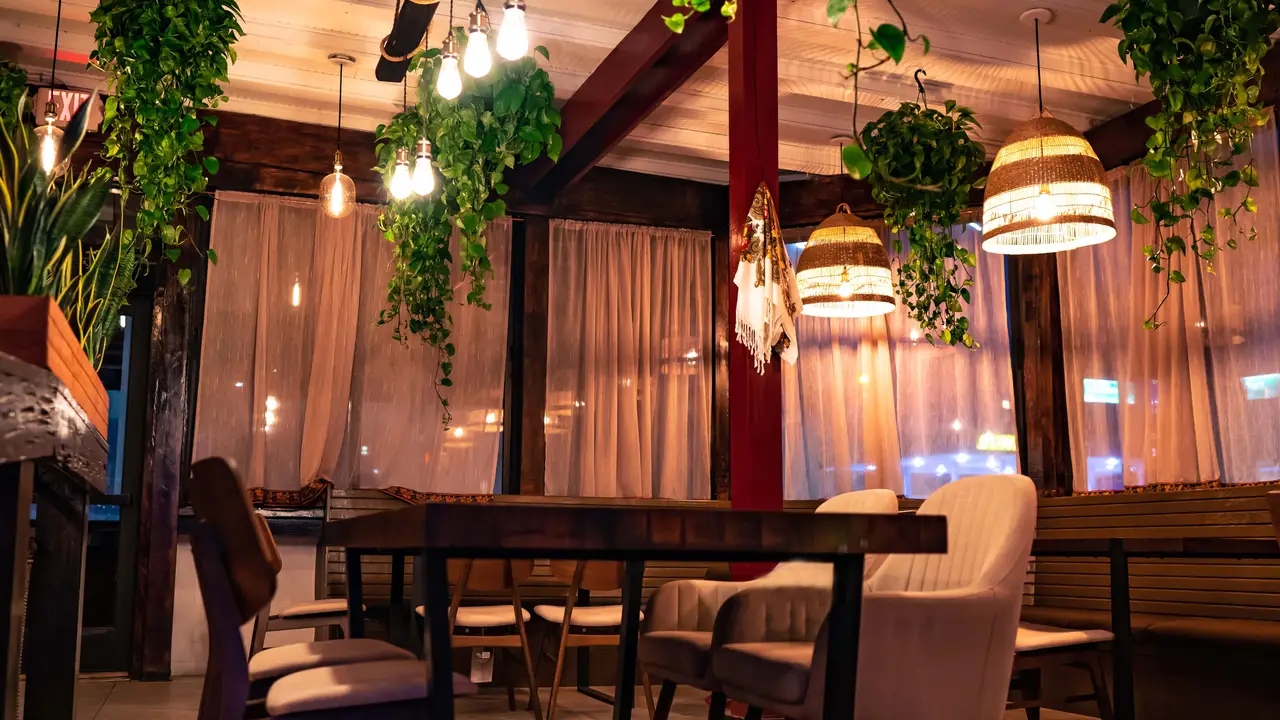 Babushka's Hyde Park Restaurant Tampa, FL OpenTable