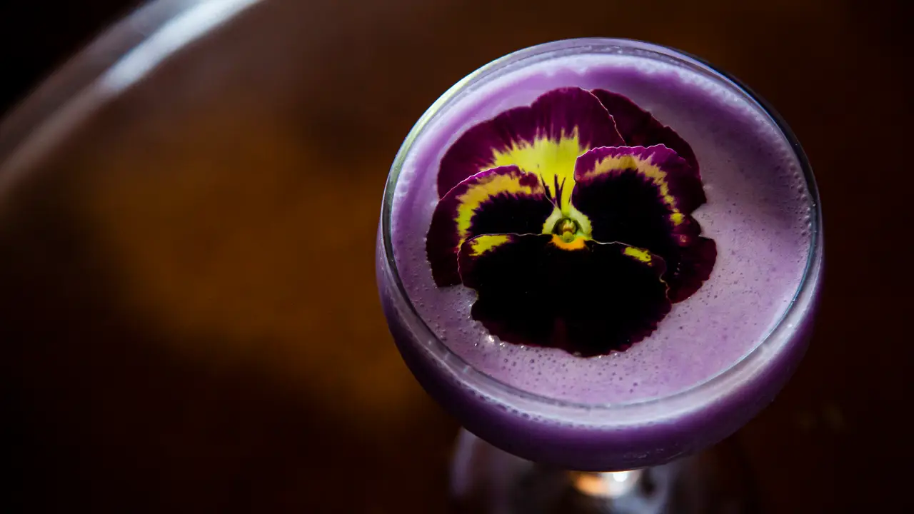 Broken Shaker Chicago Restaurant Chicago, IL OpenTable