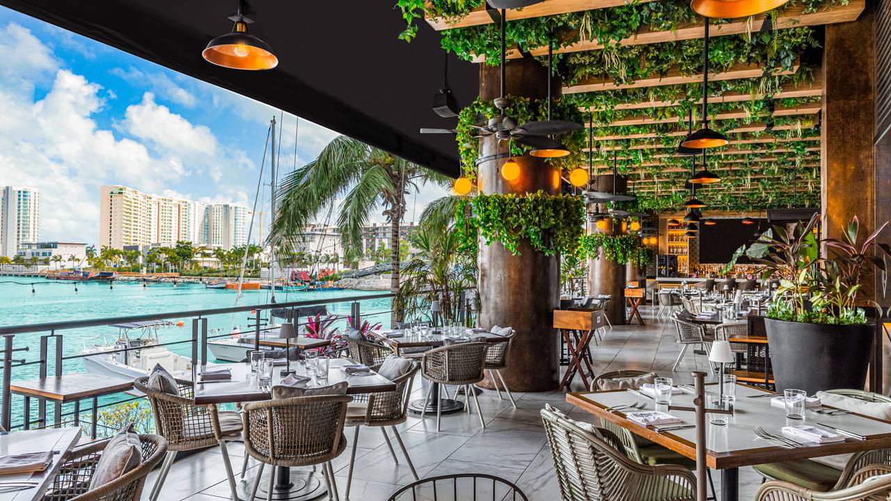 CAO - Modern Mexican Kitchen Restaurant - Cancún, ROO | OpenTable