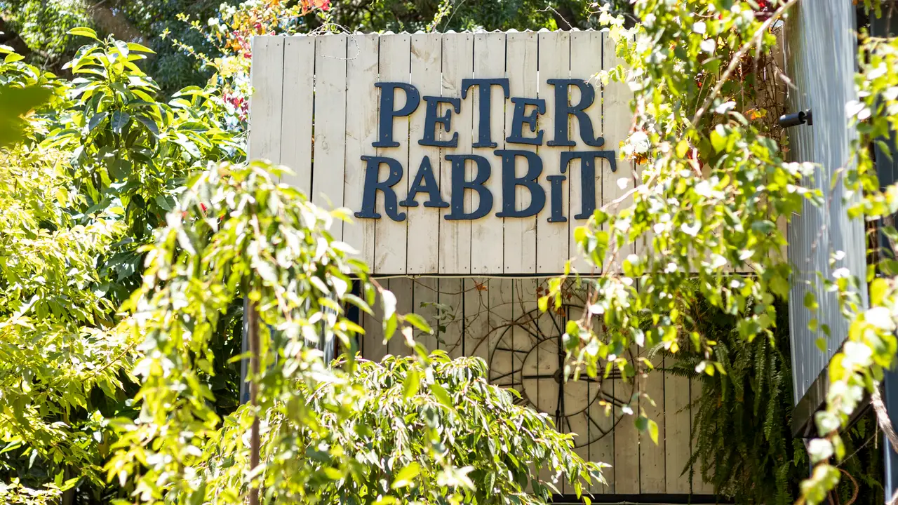 Peter Rabbit, Adelaide, AU-SA