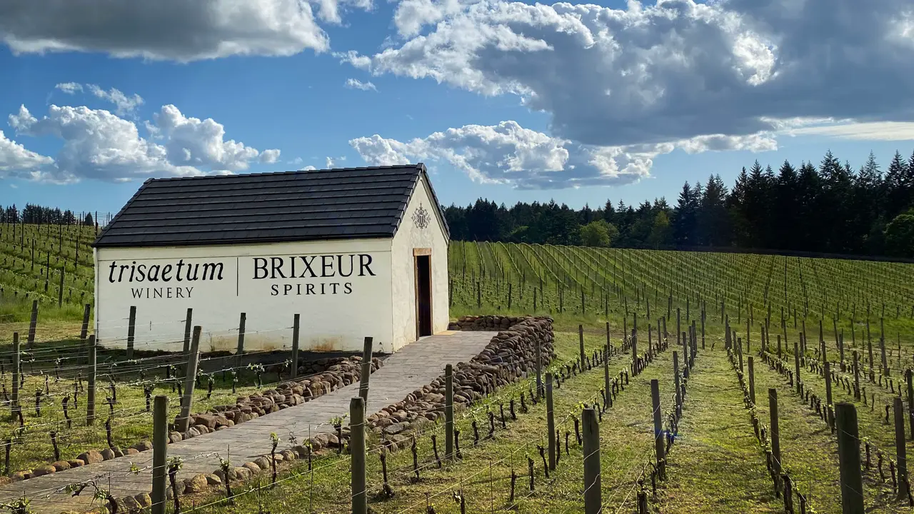 Trisaetum Winery and Brixeur Spirits, Newberg, OR