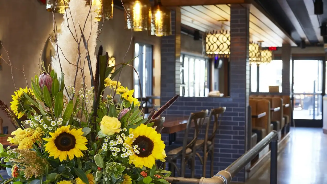 Restaurant Terra Wood Fired Kitchen Yorba Linda, , CA OpenTable