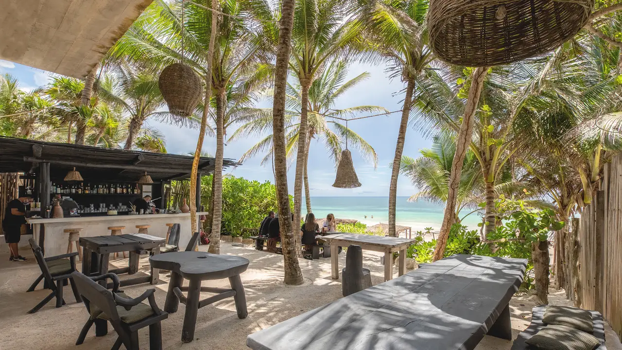 Nest Tulum Book on OpenTable now