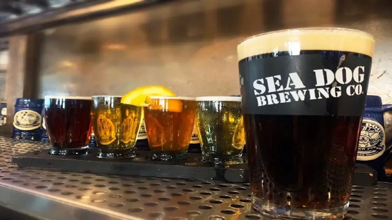 Sea Dog Brewing Co., Treasure Island, FL