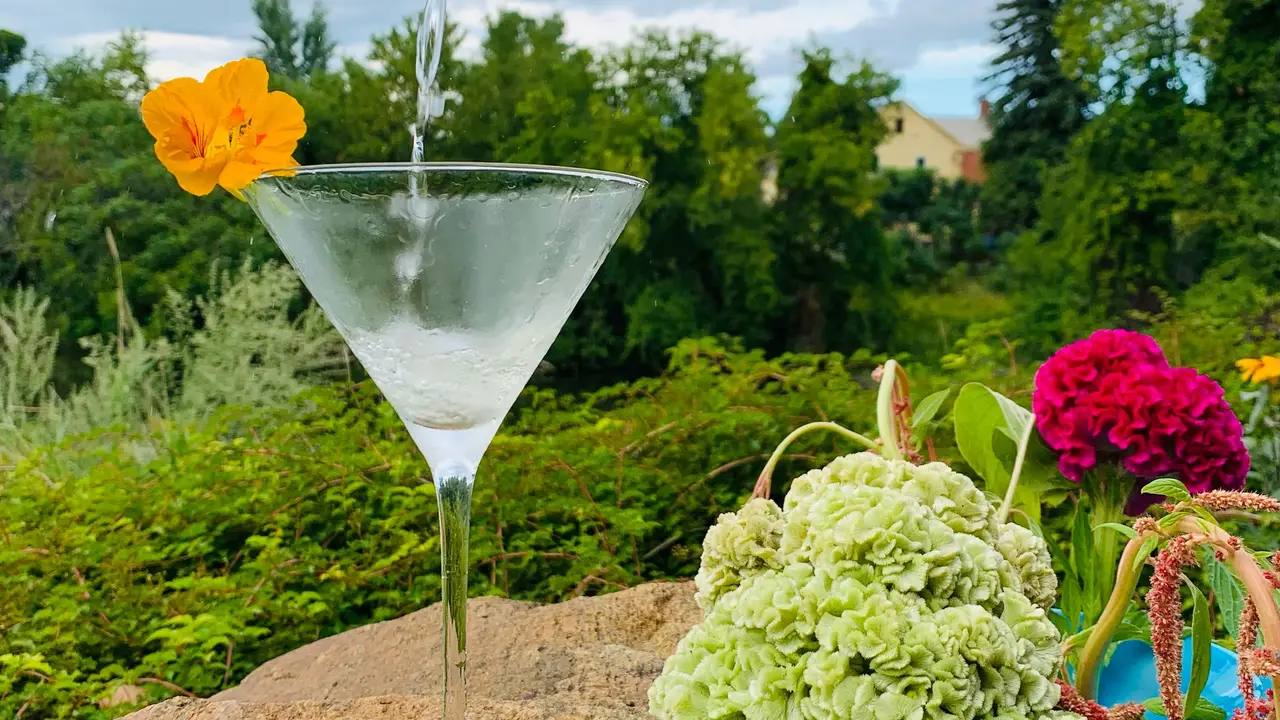 Starry Night Cafe Restaurant Ferrisburgh, , VT OpenTable