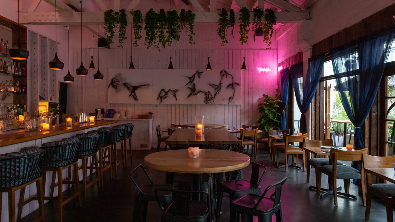 Colibrí Pop-up at Los Balcones Restaurant - Los Angeles, CA | OpenTable