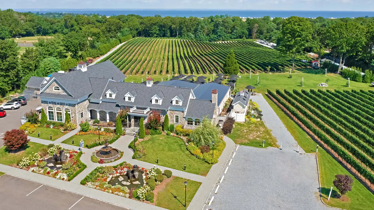 Del Vino Vineyards | Wine | Restaurant Del Vino Vineyards | Wine | Restaurant - Del Vino Vineyards, Northport, NY