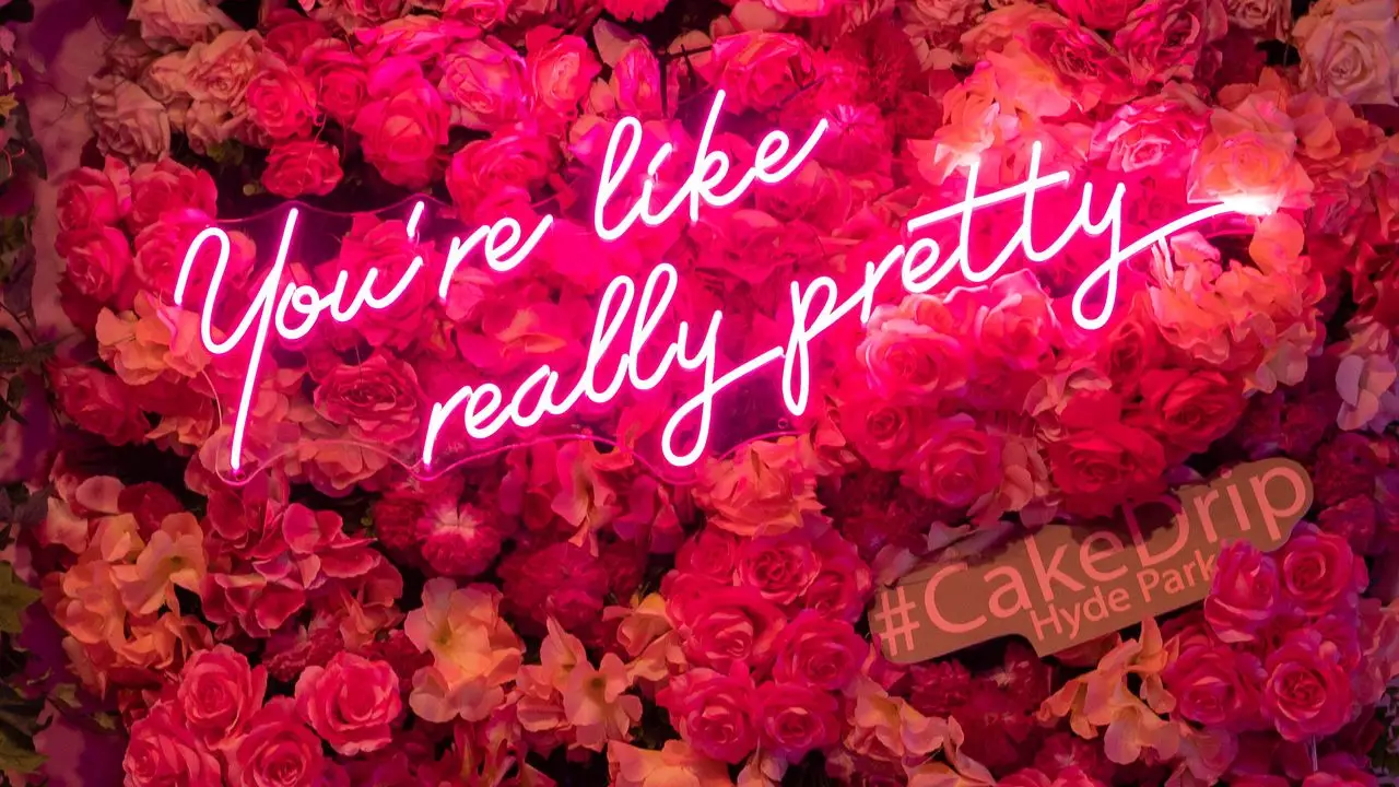 The Cake Drip Restaurant Updated 2023 Book your table now