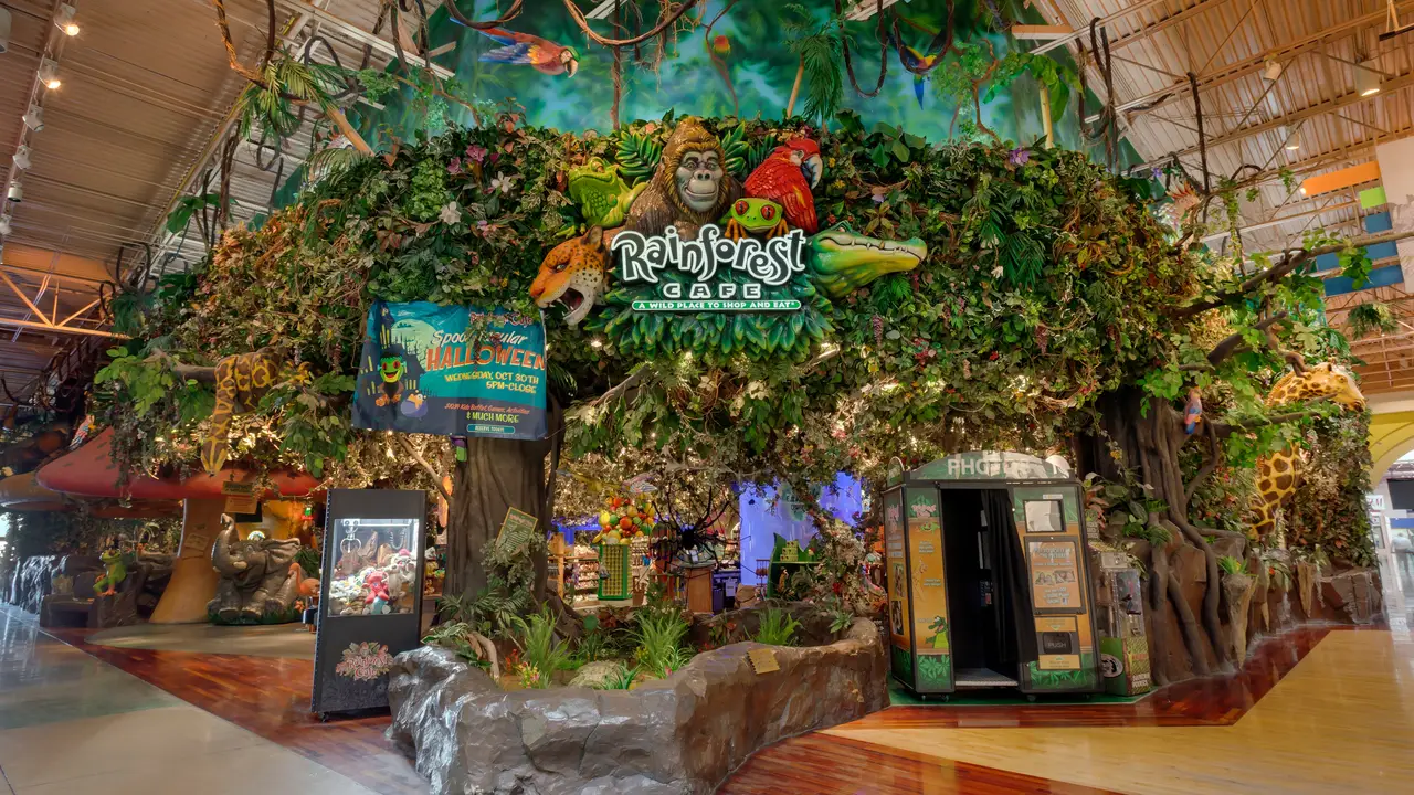 Rainforest Cafe - Tempe Arizona Mills Restaurant - Tempe, AZ | OpenTable