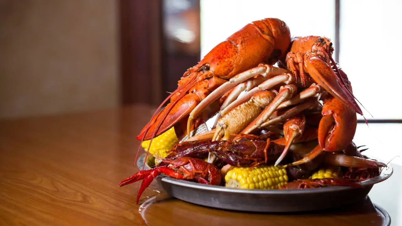 Wahoo Seafood Grill Gainesville Restaurant Gainesville, FL OpenTable