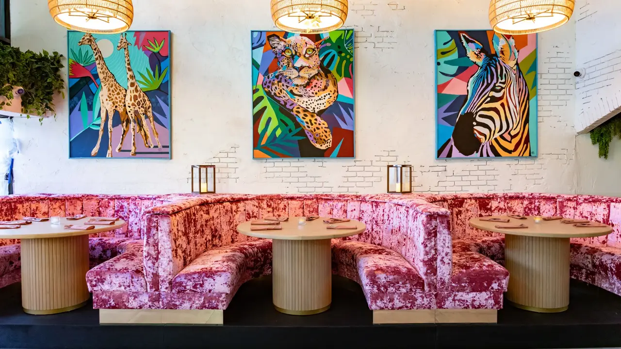 Concrete Jungle Restaurant St. Petersburg, FL OpenTable