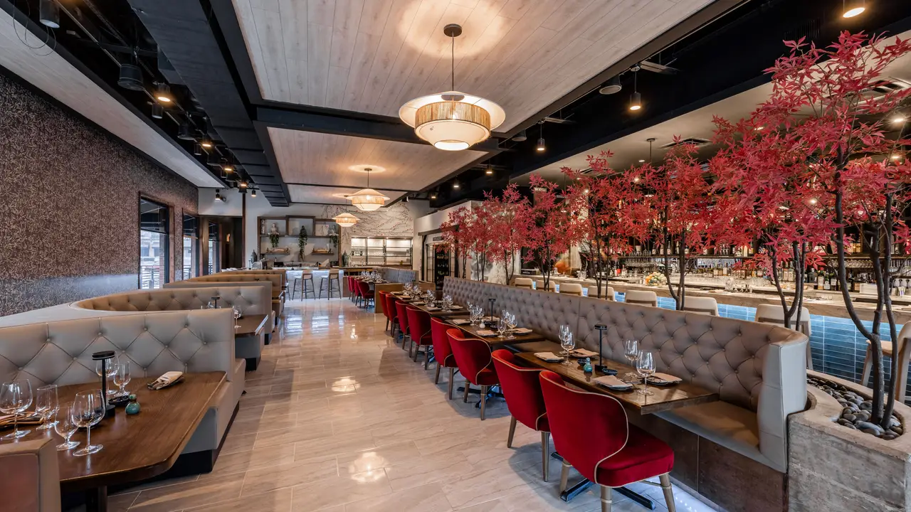 Shodo Japanese Kitchen Restaurant Dallas, TX OpenTable