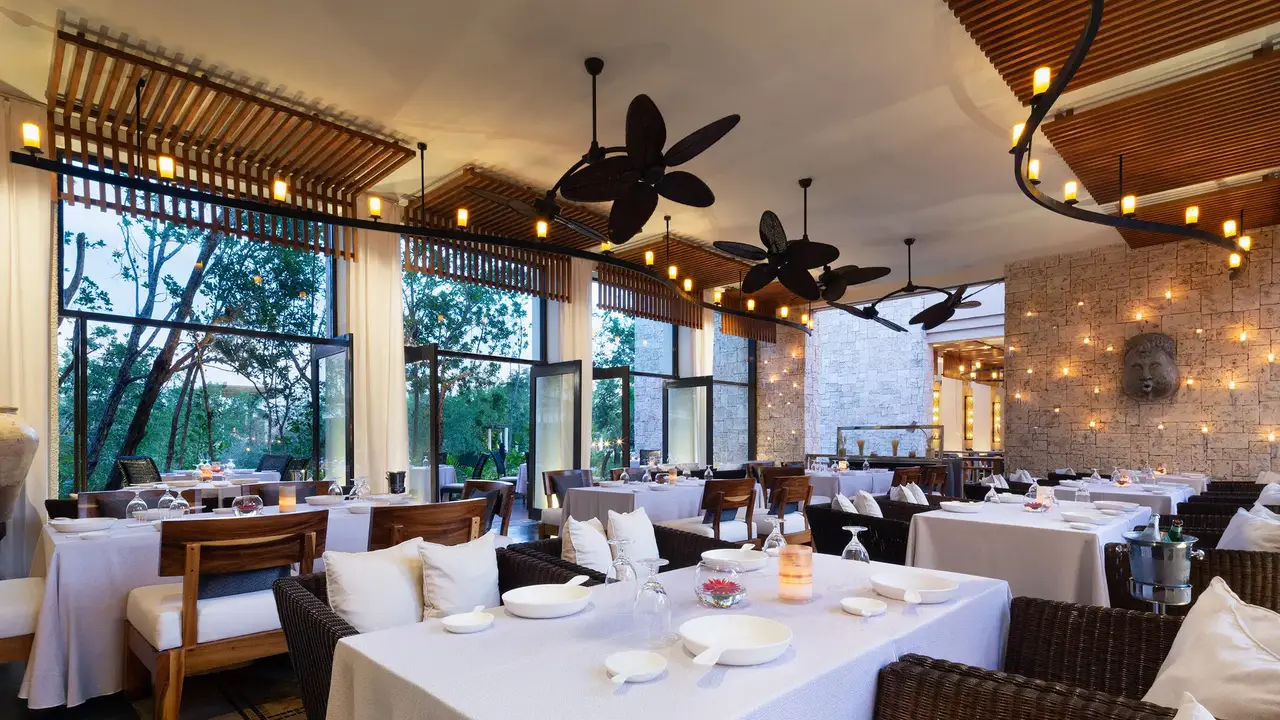 Cello Restaurant Playa del Carmen, ROO OpenTable