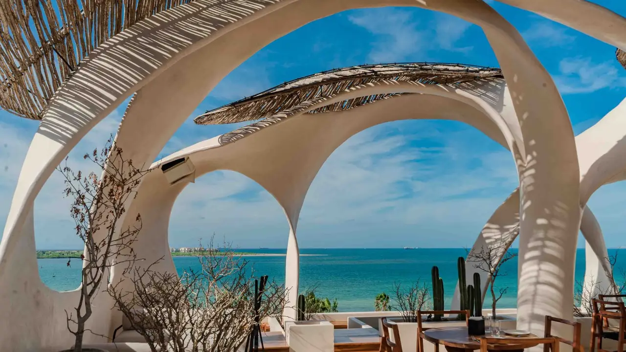 Azotea Restaurant - La Paz, BCS | OpenTable
