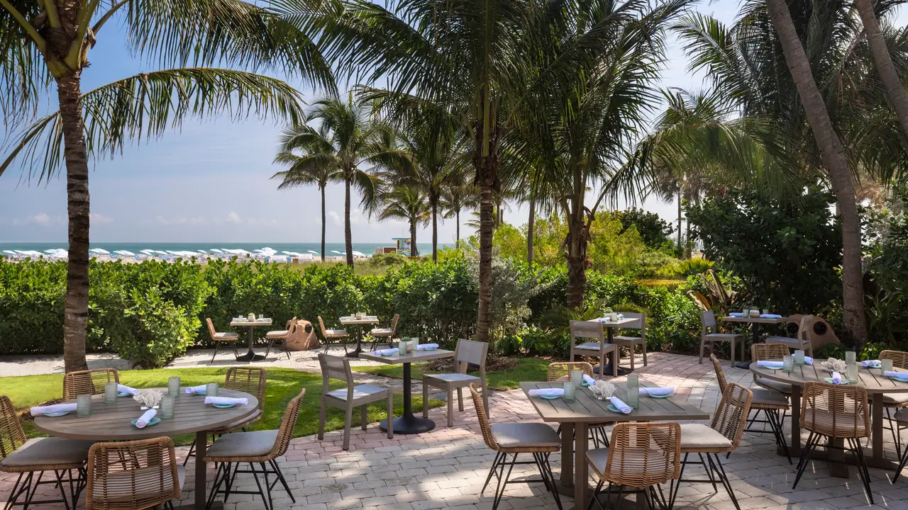 DiLido Beach Club - South Beach Restaurant - Miami Beach, FL | OpenTable