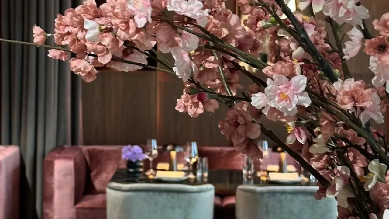 Hato fine asian cuisine restaurant d sseldorf nw opentable