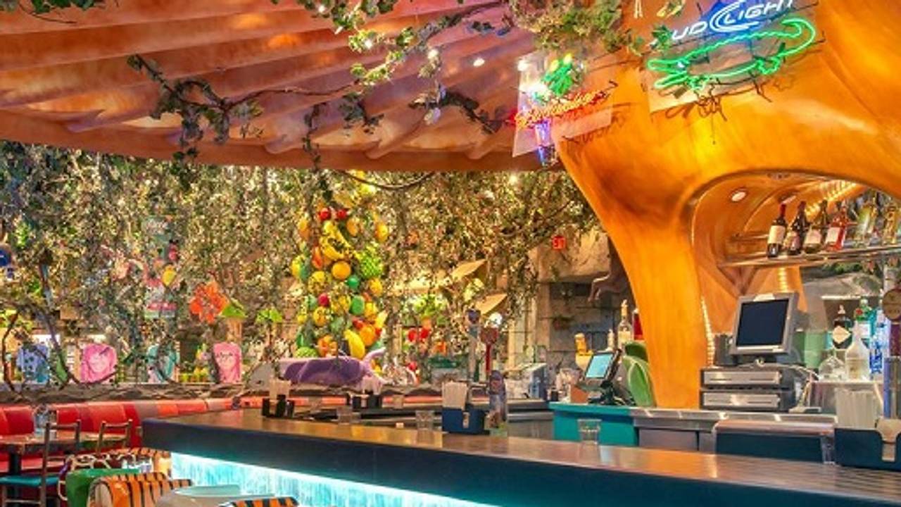 Rainforest Cafe Galveston Restaurant Galveston Tx Opentable
