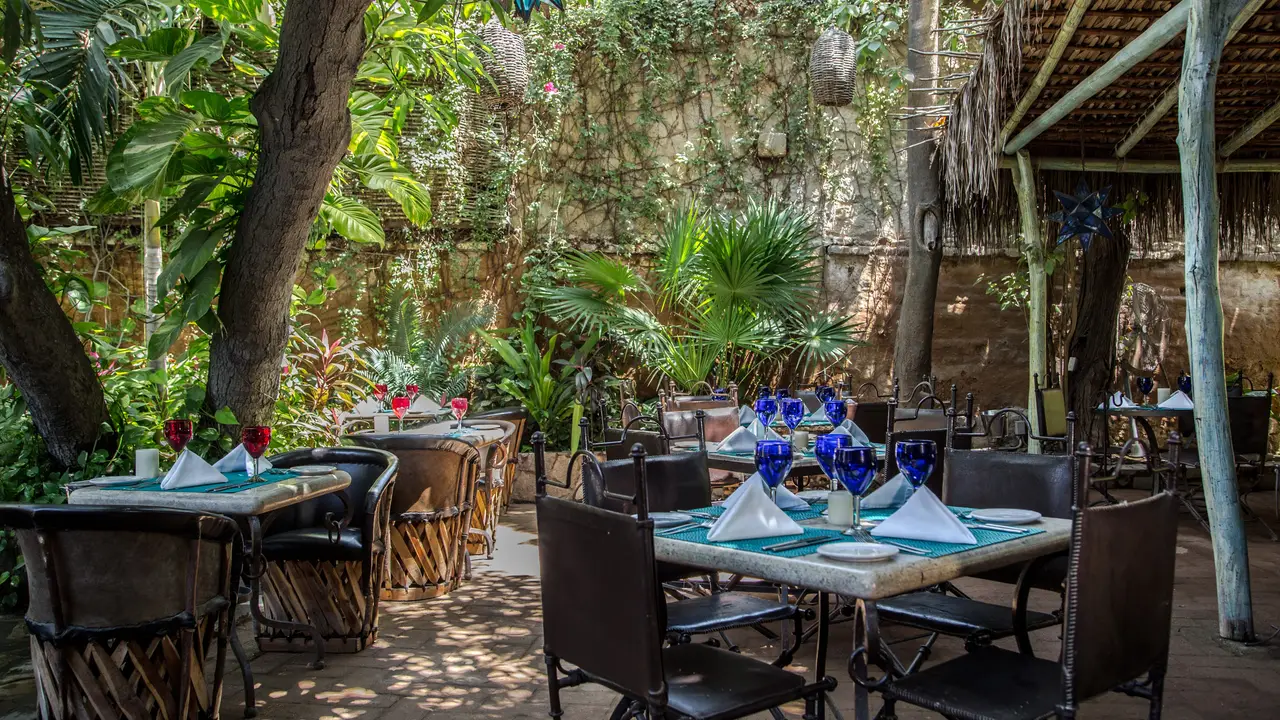 Restaurante Tequila San José del Cabo, , BCS OpenTable