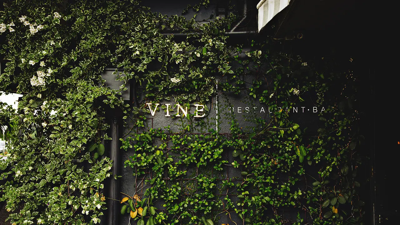Vine Restaurant Bar - Brisbane, QLD | OpenTable