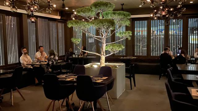 🍱 Seeking a delightful lunch experience with casual dining vibes? Mr., Japanese Restaurant In Atlanta