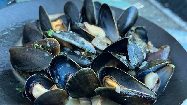 Frannys Bistro Restaurant - Camden, ME | OpenTable