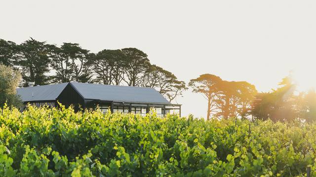 Wayward Winery​の写真