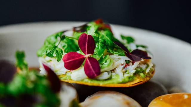 A photo of Alma Montréal restaurant