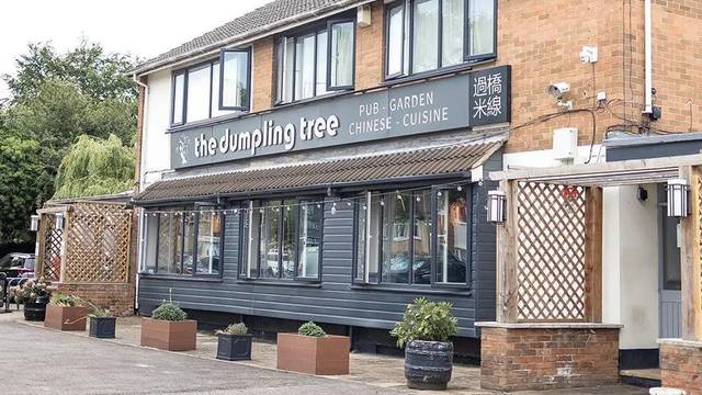 Una foto del restaurante The Dumpling Tree