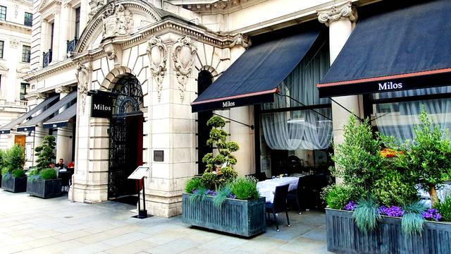 A photo of Estiatorio Milos – London restaurant