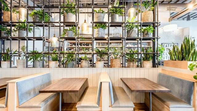 Una foto del restaurante Spirit Elephant